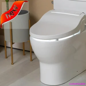 Elongated Bidet Toilet Seat